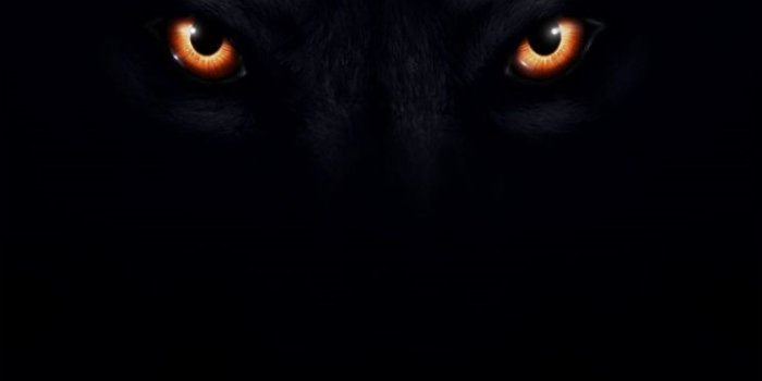 744x1392 Download Cool Black Iphone Wallpaper (37) - mariacenoura.pt