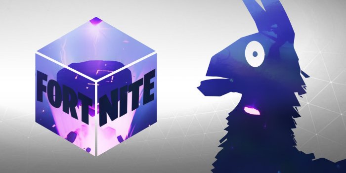 1920x1080 20+] Fortnite Llama Wallpapers on WallpaperSafari