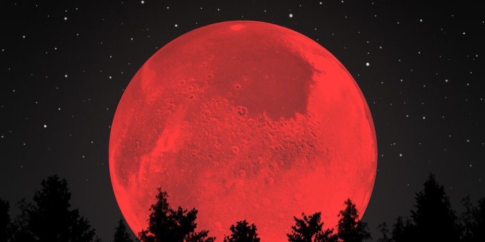 1440x2560 20 Aesthetic Wallpaper Ideas for Your Iphone for 2019 - Do It Before Me