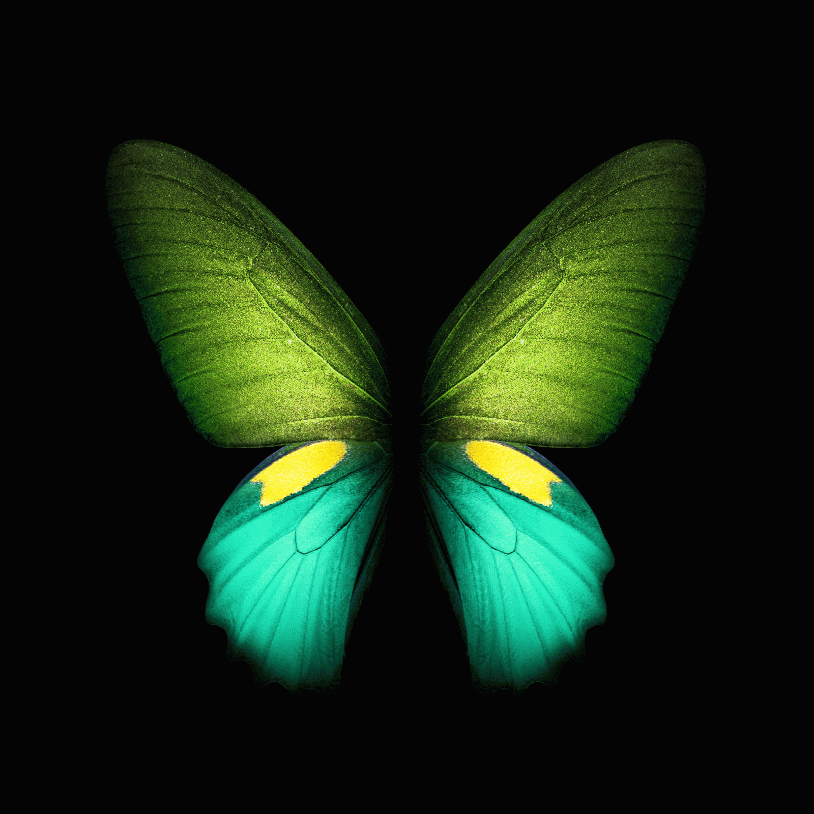 2152x2152 Download Samsung Galaxy Fold wallpaper - SamMobile