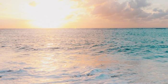 736x1308 Awesome Beach iPhone wallpaper 1 | Top Ideas To Try | Recipes