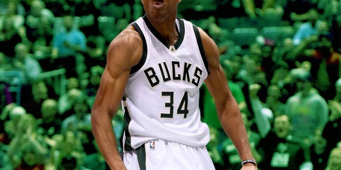 1600x1200 Giannis Antetokounmpo Wallpapers