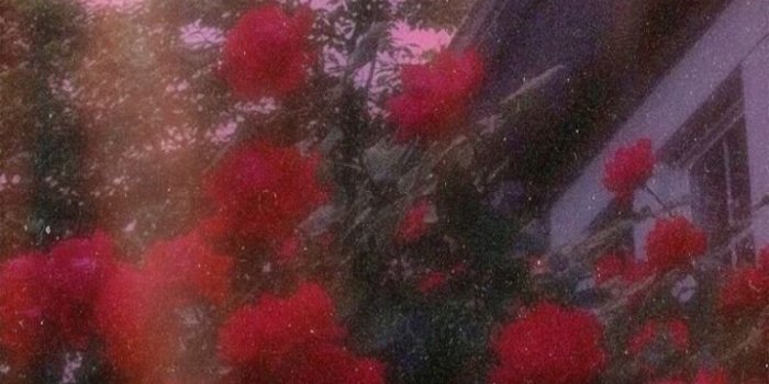 719x1280 Wallpapers#wallpaper# Lockscreens#iphone Wallpapers# - Aesthetic