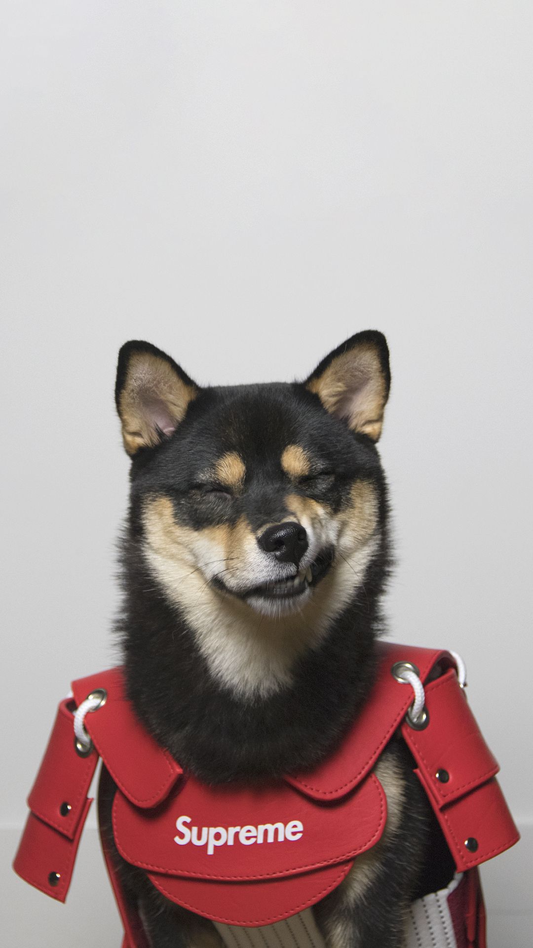 1080x1920 Wallpapers - DACHI HYPE