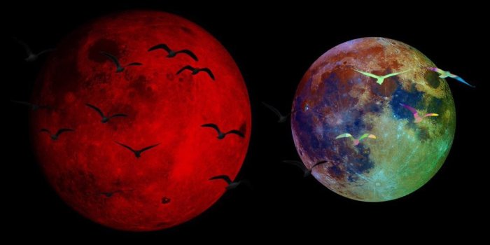 1125x2436 Lil Uzi Vert vs the World iPhone Wallpapers - Top Free Lil Uzi Vert