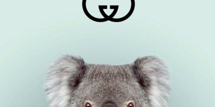 853x1200 iphone wallpaper on Twitter: 