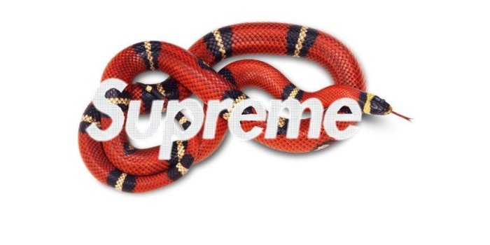 866x1531 freetoedit wallpaper gucci supreme black & white follow...