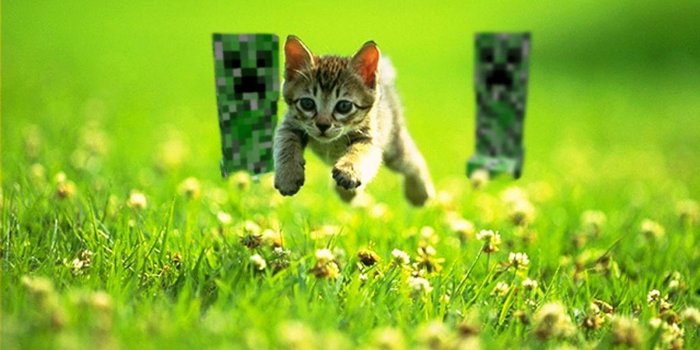 1600x1200 Funny Minecraft Backgrounds