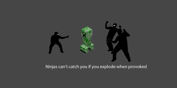 1920x1200 Minecraft Funny Wallpapers