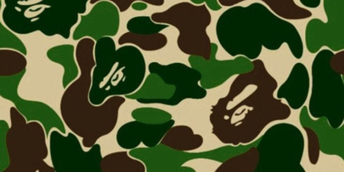 736x1309 Bape Iphone Wallpaper (24+ images) on Genchi.info