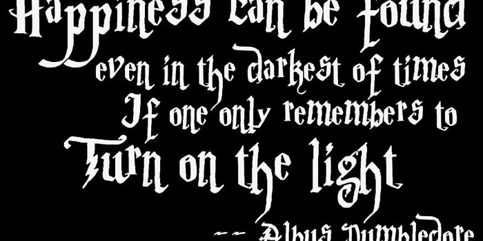 1500x1500 Amazon.com: Harry Potter Vinyl Decal Sticker - Turn on the light