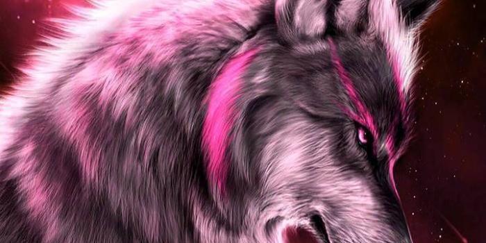 720x1280 Spirit Wolf | 2wolveslove in 2019 | Wolf painting, Wolf wallpaper