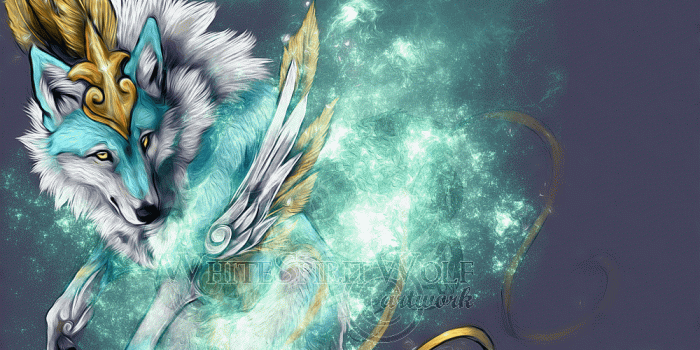 1000x791 Galaxy Wolf Wallpapers