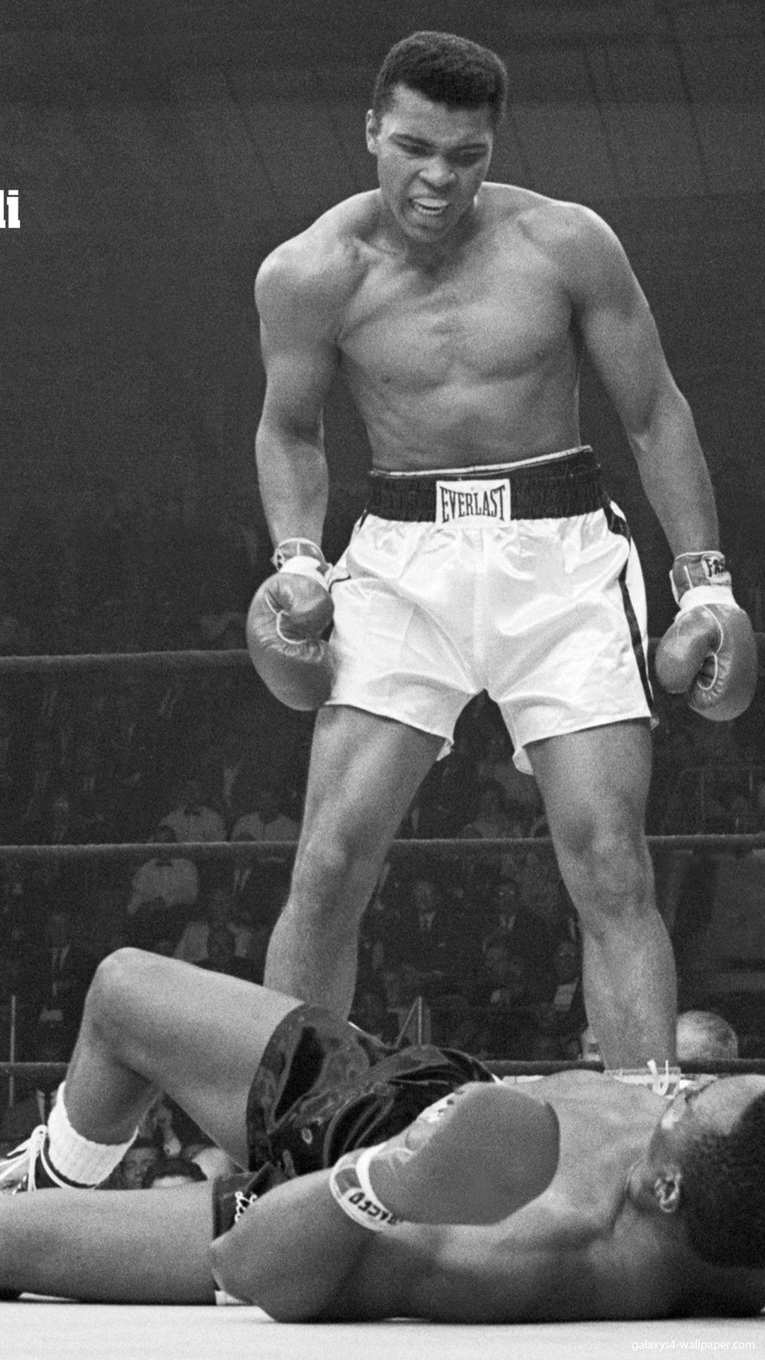 1080x1920 MuhaMMAd Ali HD Wallpapers (75+ images)
