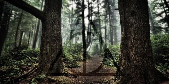 1920x1080 Deathly Hallows Symbol Wallpapers