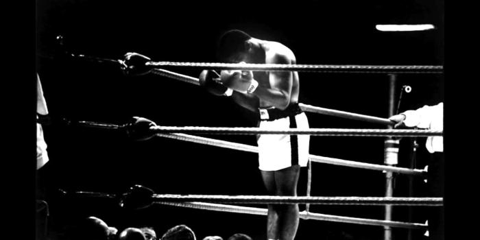 1920x1080 72+ Mohamed Ali Wallpapers on WallpaperPlay