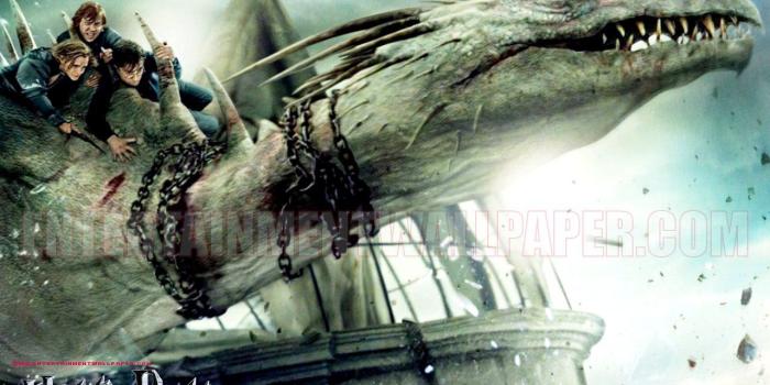1280x1024 Harry Potter Deathly Hallows Wallpaper (53+), Find HD Wallpapers For