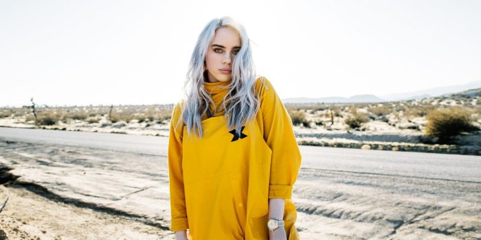 1332x850 Wallpaper singer, Billy Eilish Baird O'connell, Billie Eilish, Billy