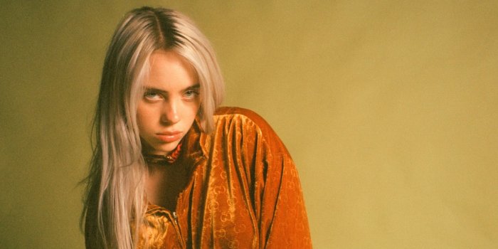 2048x1152 Billie Eilish High Definition Wide HD Wallpaper - Covidia.com