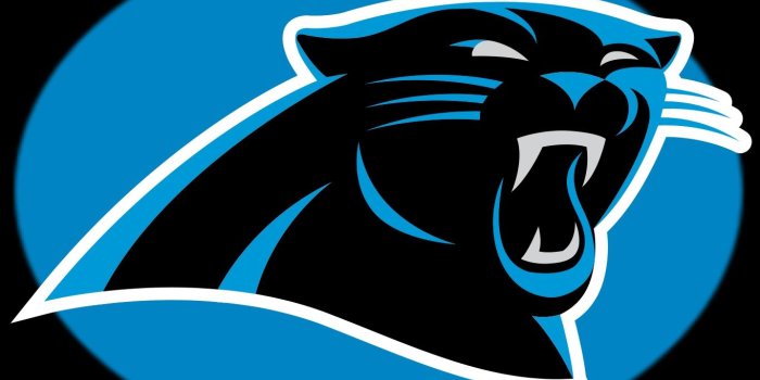1365x1024 Sam Fogle on mel | Carolina panthers wallpaper, Panther logo