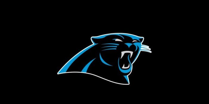768x1365 Timothy Wilkes on Carolina Panthers | Carolina panthers, Nike