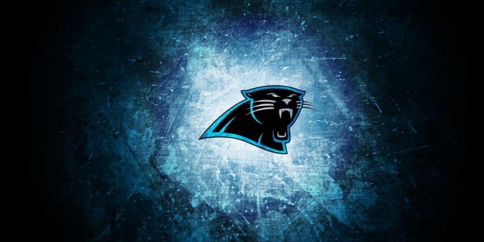 1280x800 46+] Carolina Panthers Wallpaper HD on WallpaperSafari