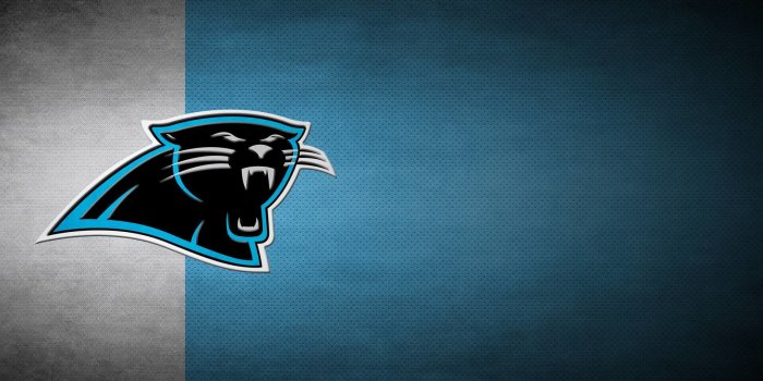 1920x1200 Carolina Panthers wallpapers HD for desktop backgrounds