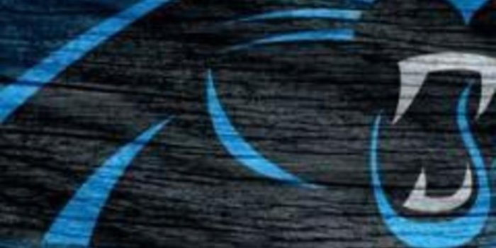 1024x1024 iPad Wallpapers, lock-screens, and Backgrounds — Carolina Panthers