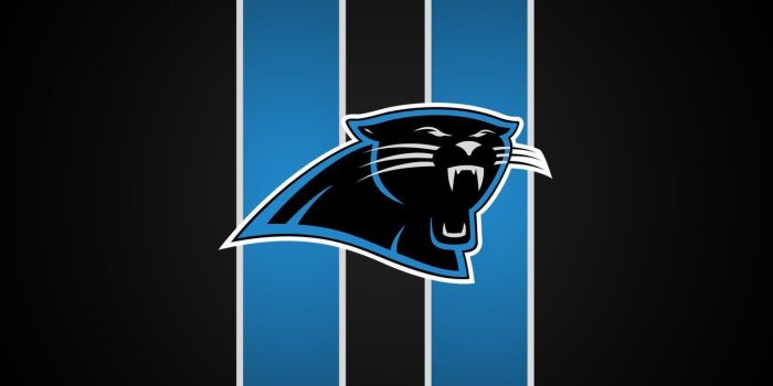 1280x1024 Carolina Panthers Image – download in digitalimagemakerworld.com