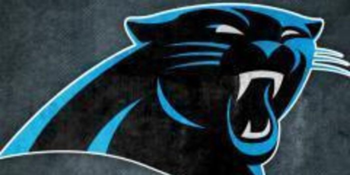 1024x1024 49+] Carolina Panthers iPad Wallpaper on WallpaperSafari
