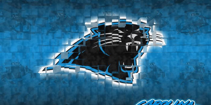 1280x960 Panthers wallpaper | 1280x960 | #69487