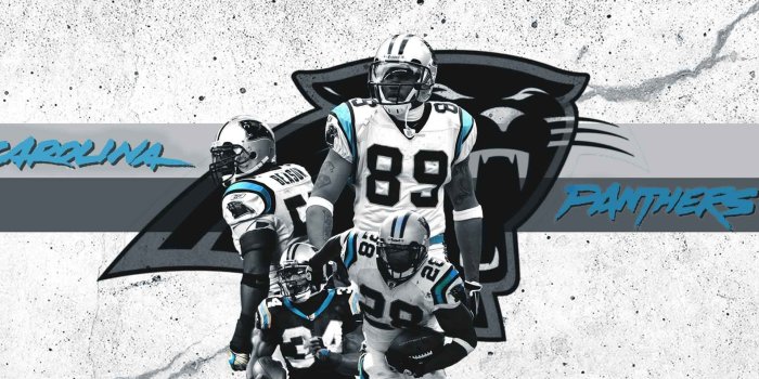1920x1200 Carolina Panthers Image – download in digitalimagemakerworld.com