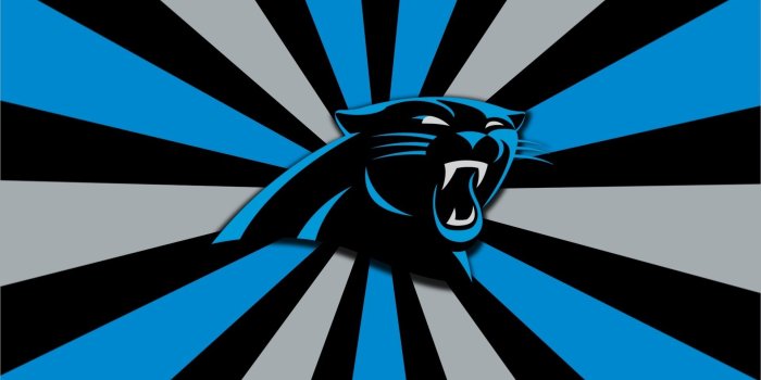 1920x1080 Carolina Panthers wallpapers HD for desktop backgrounds