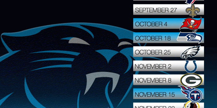 852x1608 HD Widescreen Carolina Panthers IPhone 6 Wallpaper