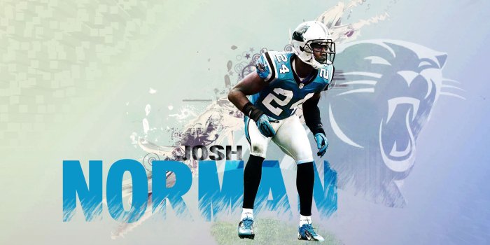 1920x1200 Carolina Wallpaper (68+ pictures)