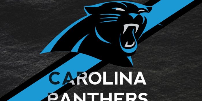 1280x800 22007 panthers football wallpaper