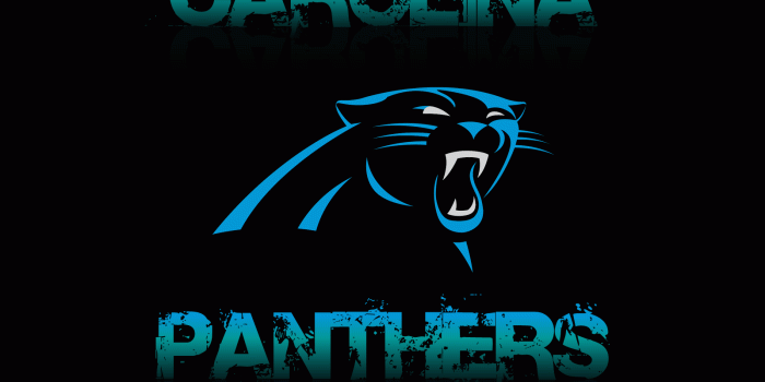 1600x1200 Carolina Panthers Live Wallpaper Iphone ✓ Fitrini's Wallpaper