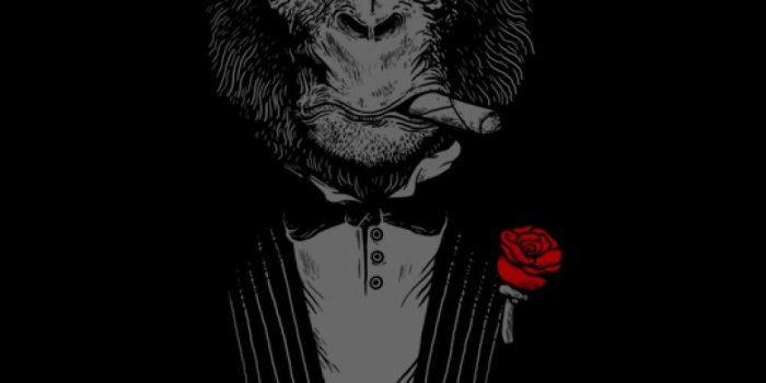 1000x1600 45+ iPhone 6 Plus HD Wallpapers - Download at WallpaperBro