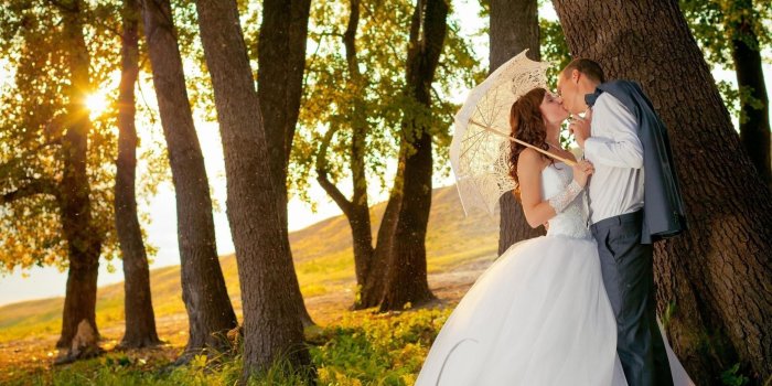3840x2400 Love Under The Tree? Wallpaper For Resolution 3840x2400 Download