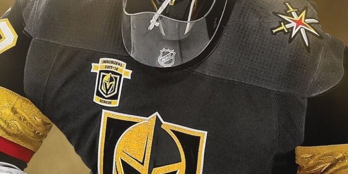 720x1280 I MISS HIM SOOOO MUCH!!! | PITT PENS! | Golden knights hockey, Nhl