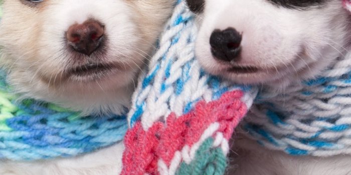 1080x1920 Free Cute Couple Wallpaper For Iphone, Download Free Clip Art, Free