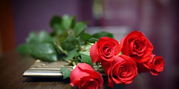 1920x1080 Red Flower Wallpaper | Natures Wallpapers | Rose flower wallpaper