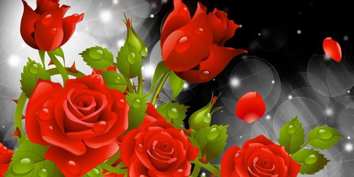 1920x1080 Red Rose Wallpapers Red Flowers HD Pictures One HD Wallpaper 1280