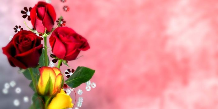 1190x850 Wallpaper Hd Nature Flower Rose 1080P | Gold Wallpapers