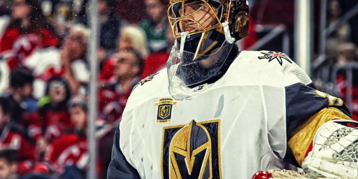 1332x850 Wallpaper The game, Flower, Sport, Vegas, NHL, NHL, Hockey, National