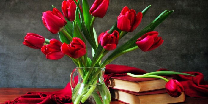 1600x1000 HD Wallpaper Red Rose Flowers | PNG Transparent best stock photos