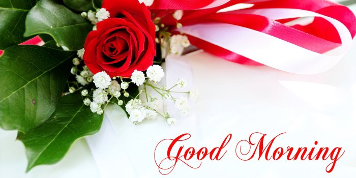 1920x1080 Good Morning Wallpaper with Flowers, Full HD 1920x1080 GM Images