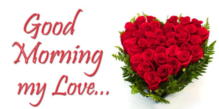 1920x1080 177+ Good Morning Flowers Quotes Wishes Images Wallpaper Photos