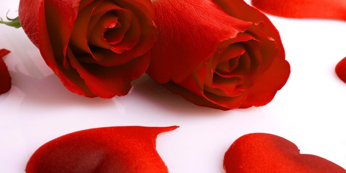 2146x1684 Good Morning Red Rose Pictures Images Photo Free Hd - Red Rose Good