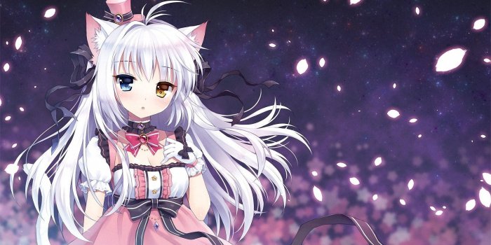1920x1080 Neko Girl Beautiful Anime Neko Girl Phone Wallpapers Top Free Anime